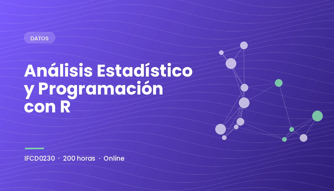 Análisis Estadístico y Programación con R (IFCD0230)