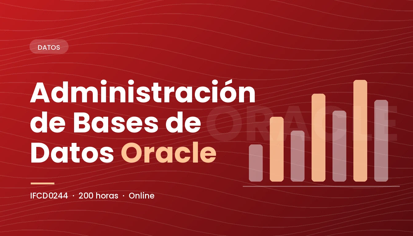 Administración de Bases de Datos Oracle (IFCD0244)