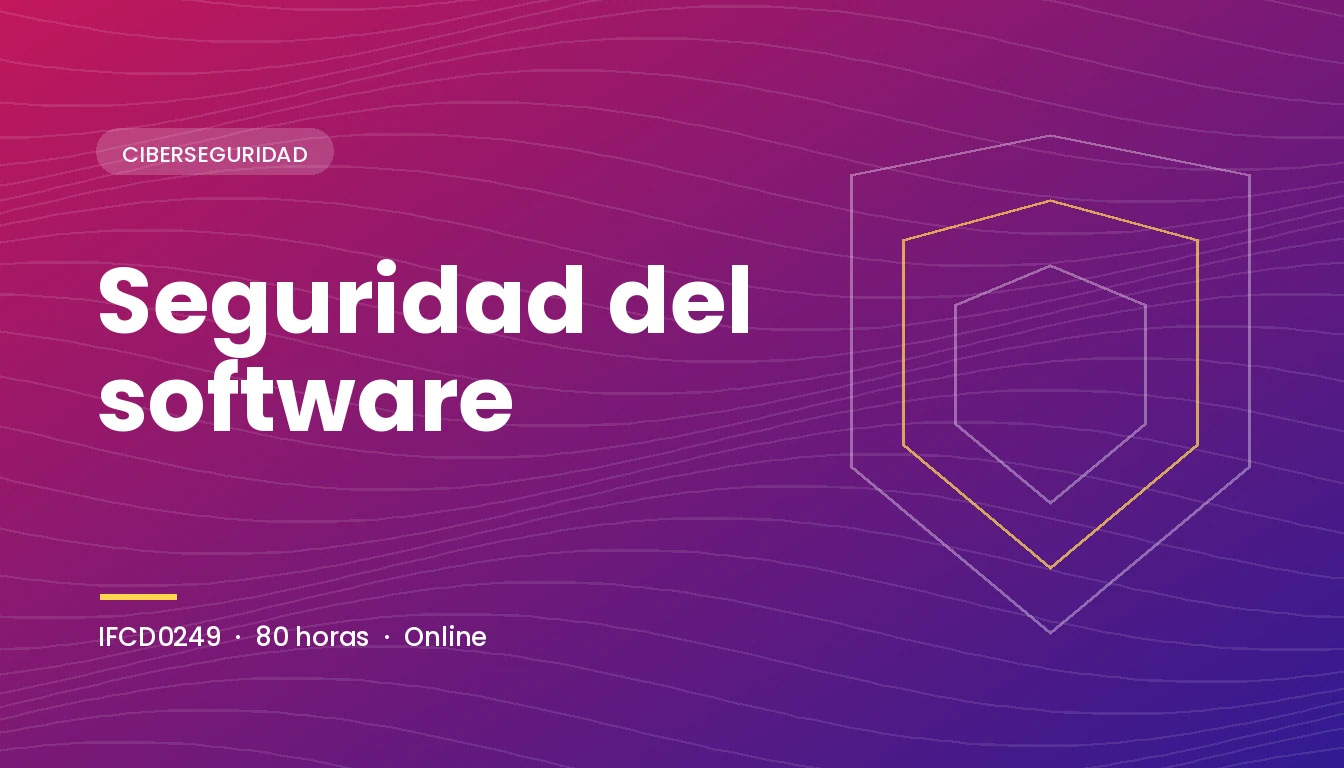 Seguridad del software (IFCD0249)