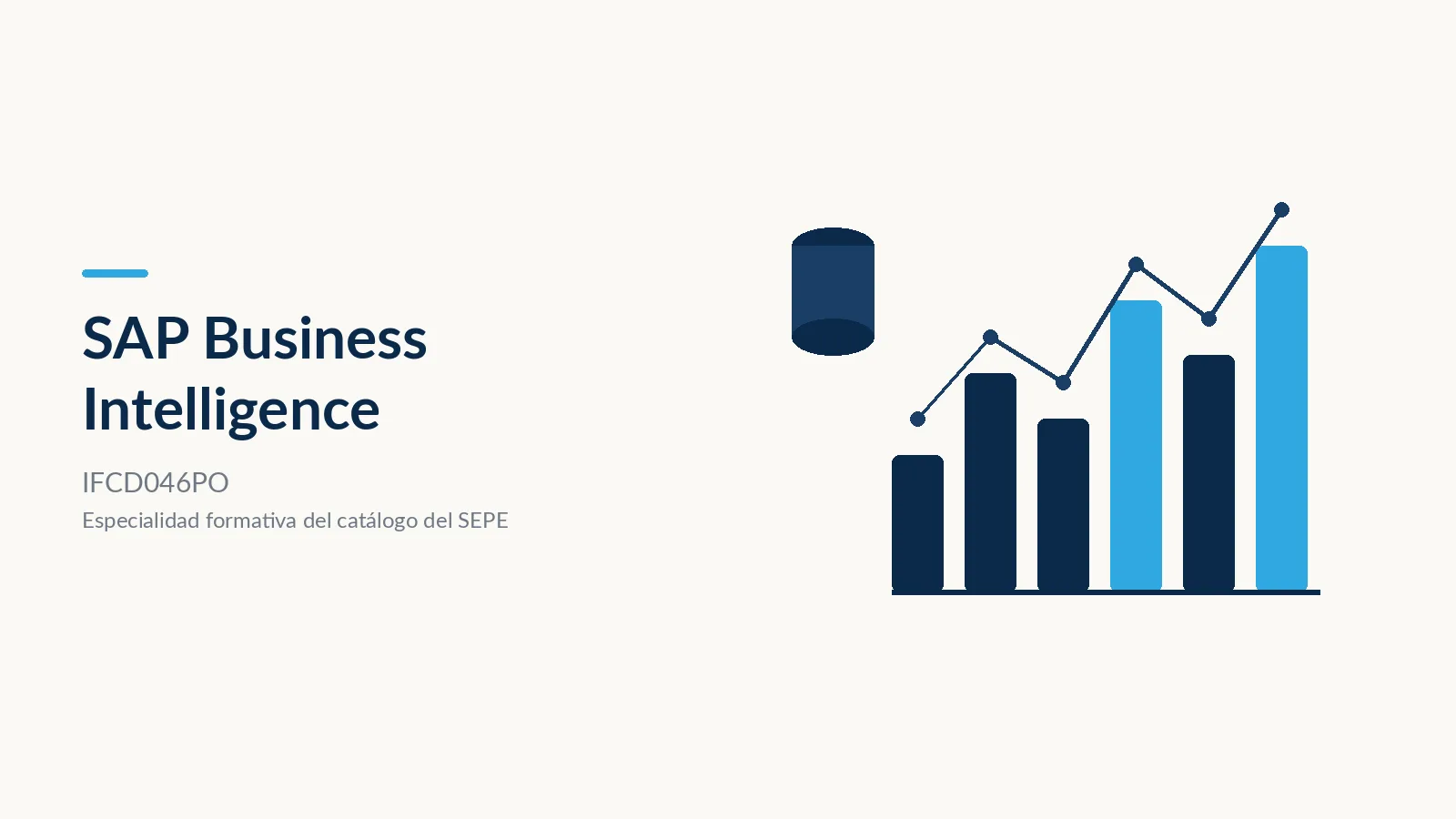 SAP Business Intelligence (IFCD046PO)