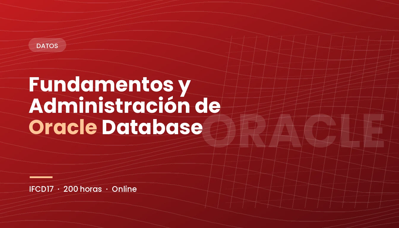 Fundamentos y Administración de Oracle Database (IFCD17)