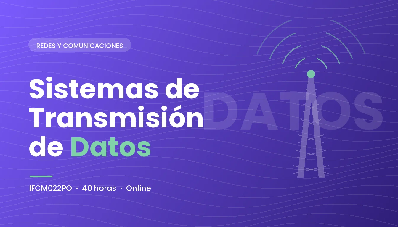 Sistemas de Transmisión de Datos (IFCM022PO)