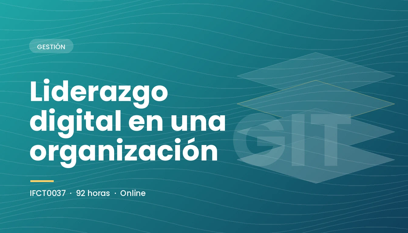 Liderazgo Digital en una Organización (IFCT0037)