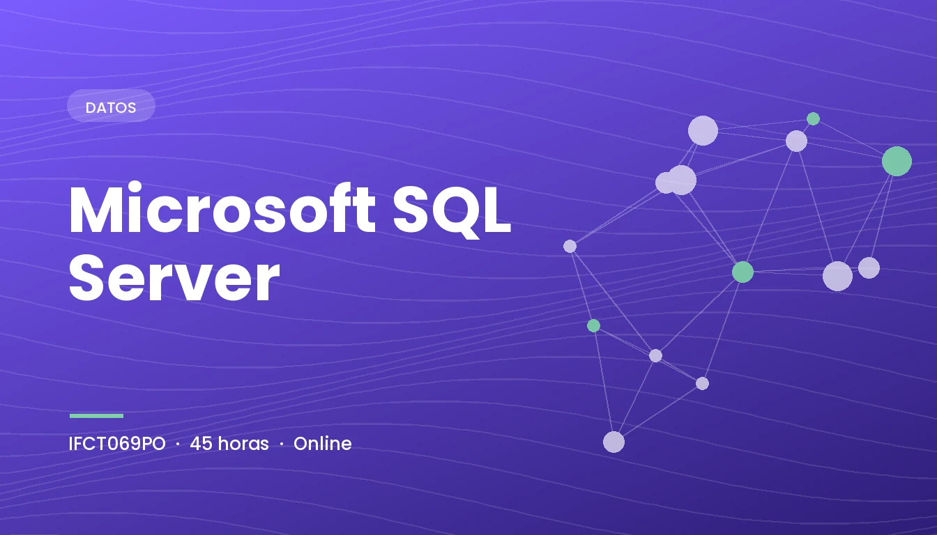 Microsoft SQL Server (IFCT069PO)
