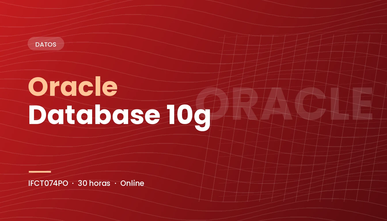 Oracle Database 10g (IFCT074PO)