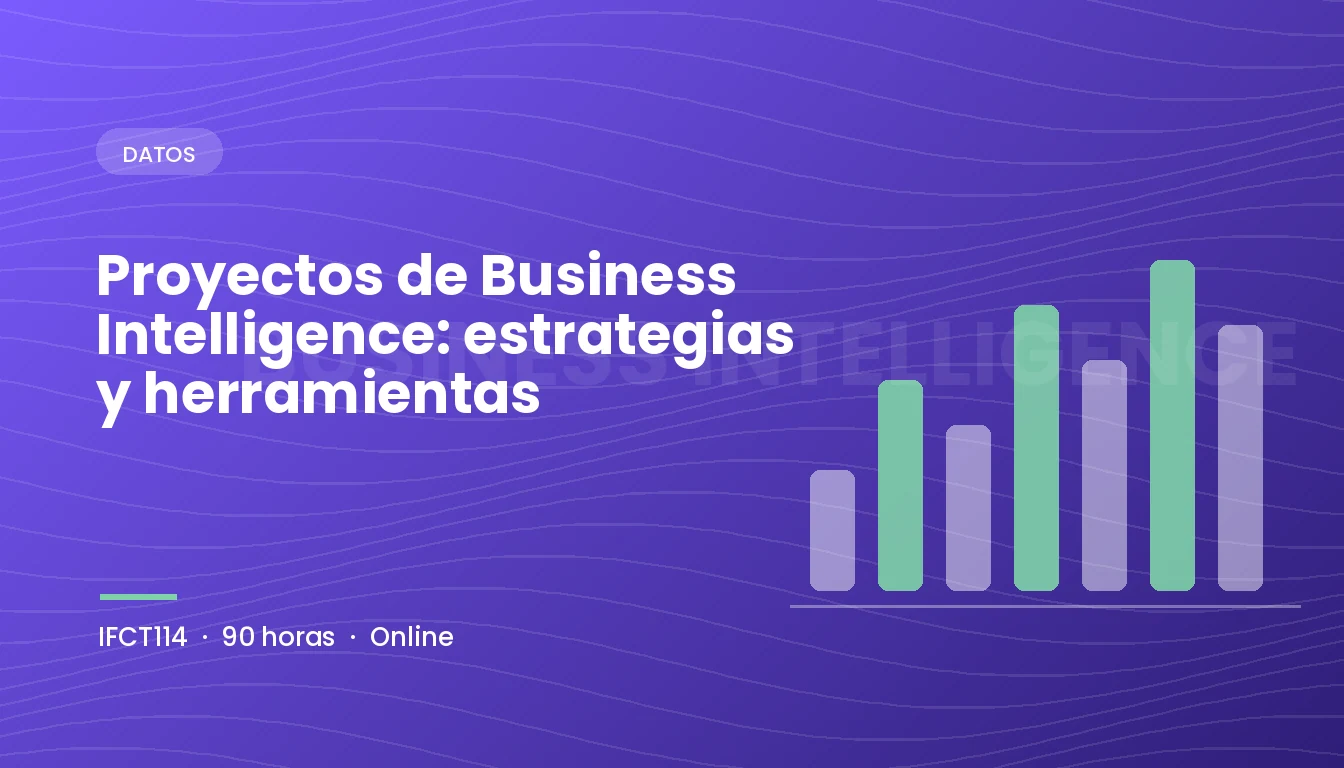 Proyectos de Business Intelligence: Estrategias y Herramientas (IFCT114)